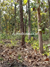 Image Property Kebon jati di jual murah