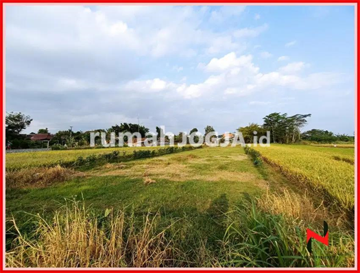 Image Property Tanah Dijual Jogja, Tepi Jalan Sidokarto Godean Kavling SHM