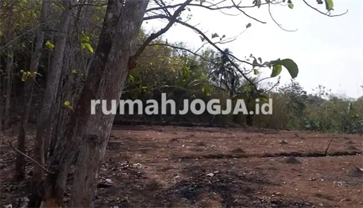 Image Property Dijual Tanah Murah