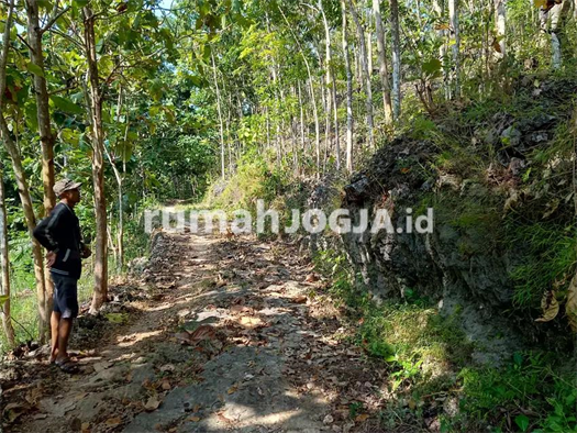 Image Property Dijual Tanah diGunungkidul