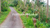 Image Property tanah murah,pinggir jalan aspal kabupaten.