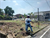 Image Property Istimewa Tanah Murah Strategis  dekat Wisata Candi Prambanan SHM Ready