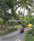 Image Property JUAL TANAH DI TRIHARJO WATES KULONPROGO
