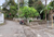 Image Property Tanah prospek d kampung Flory