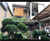 Image Property Jual rumah 5M an fully furnished di Condongcatur Sleman Jogja
