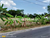 Image Property TANAH PEKARANGAN MANGKU ASPAL VIEW PERSAWAHAN DEKAT JL KASONGAN.J12457
