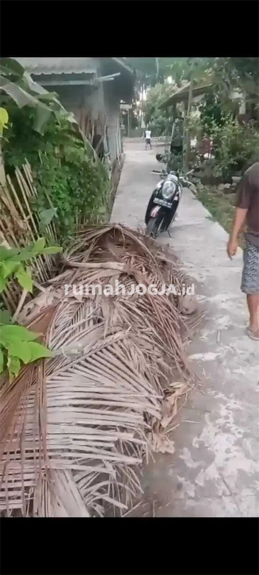 Image Property JUAL SAWAH DI BAWAH NJOP DI TEMON KULONPROGO