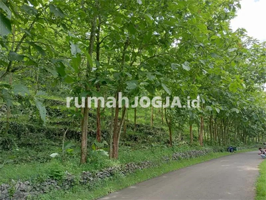 Image Property Tanahmurah di wonosari,Dijual tanah murah