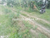 Image Property Tanah dijual murah