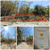 Image Property Dijual Tanah Strategis Murah di Sentolo, Kulon Progo, Yogyakarta