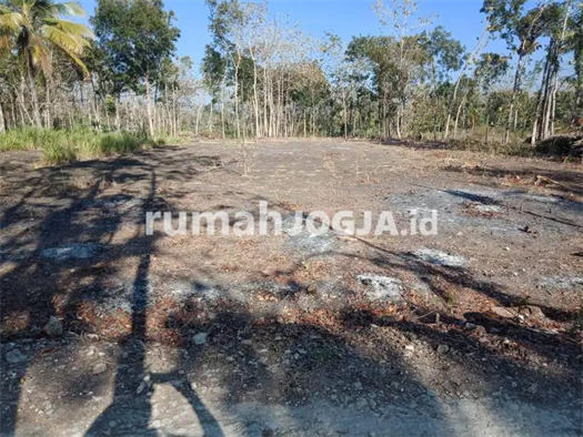 Image Property Dijual Tanah Pekarangan