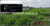 Image Property Dijual sawah cocok untuk investasi masa depan