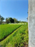 Image Property Tanah sawah 644m²