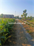 Image Property DIJUAL MURAH SAWAH DEKAT SD PRIYAN TRIRENGGO BANTUL AKSES MOBIL.J12500