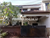 Image Property Rumah LT 105m2 di Antasura Denpasar