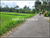 Image Property Dijual Tanah Dekat PonPes Pandanaran, Sleman