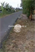 Image Property Tanah Sawah Bagus Murah di Banguntapan Bantul #TS 103