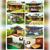 Image Property rumah joglo homestay sangat nyaman dan asri turi sleman