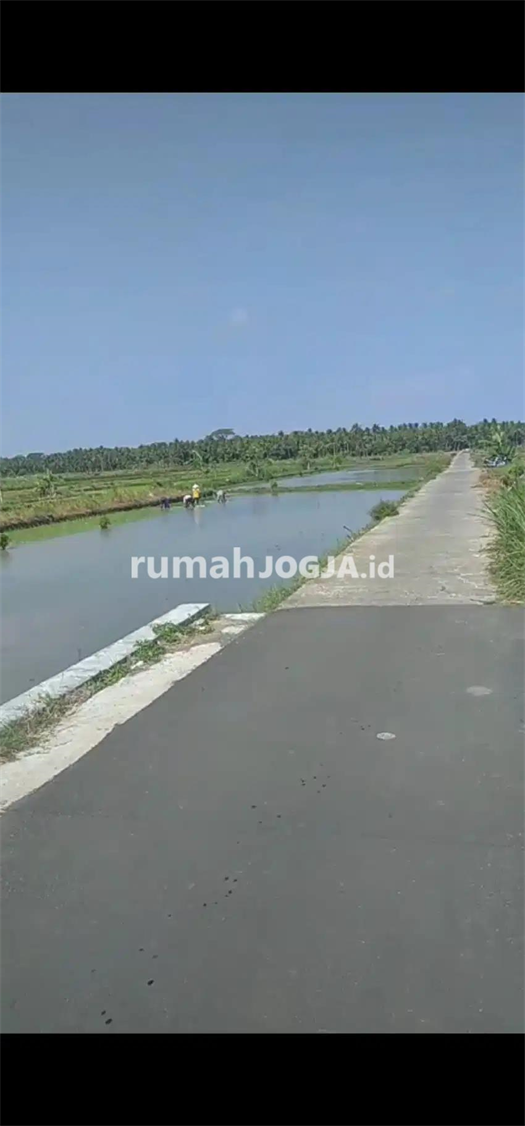 Image Property JUAL SAWAH KULONPROGO DI BOJONG PANJATAN