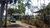Image Property KALIURANG: 7 Menit UII, LD 12 Meter, SHM Pekarangan