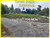 Image Property Dijual Tanah di Sleman, Dekat Gamping Balecatur Kampus UMY