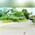 Image Property tanah sangat nyaman dan asri cangkringan kawasan wisata