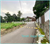 Image Property Dijual Tanah di Umbulmartani Sleman Cocok Untuk Kost