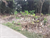 Image Property DIJUAL TANAH MURAH BARAT CEBONGAN