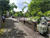 Image Property Dijual tanah pekarangan di candi binangun, Pakem Sleman