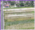 Image Property Tanah Strategis Jl. Sidokarto Dekat Kampus UNISA