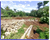 Image Property Tanah Bantul Dekat Pasar Imogiri