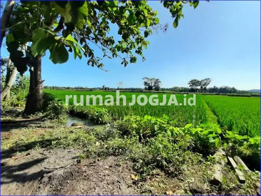 Image Property DIjual Tanah Murah Kulon Progo Dekat Bandara
