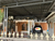 Image Project Disewakan rumah luas murah area jalan palagan