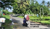 Image Property Tanah Mangku Jalan di Kulon Progo Yogyakarta