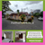 Image Property Disewakan rumah full furnish tinggak masuk dekat kota jogja