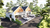 Image Property Jual rumah di jogja utara area wedomartani sleman yogyakarta