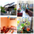 Image Property rumah dalam ringroad maguwoharjo timur kampus UPN