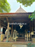 Image Property Rumah bergaya tradisional yg nyaman cocok buat keluarga