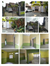 Image Property Rumah Dikontrakkan di Ring road selatan Bantul