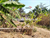 Image Property rumah dijual bisa kpr minggir sleman