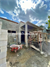 Image Property Rumah minimalis murah di Prambanan