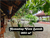 Image Property Rumah Villa Dekat Sawah Homestay Persawahan Luas