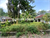 Image Property Di Jual Tanah Pekarangan Murah Area Caturharjo Barat Polres Sleman