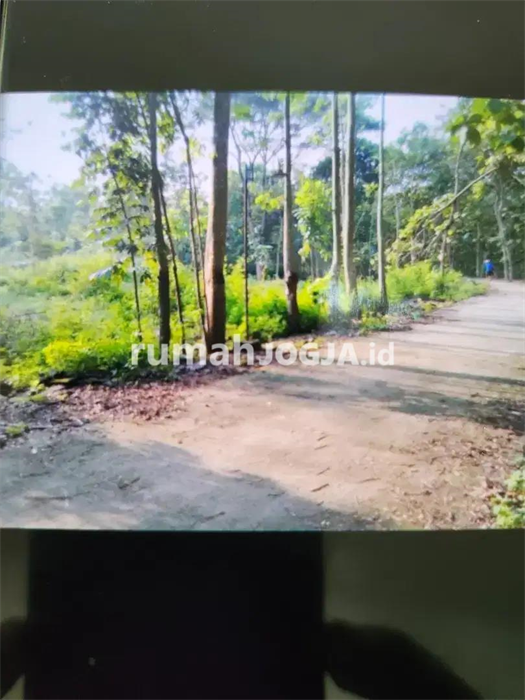 Image Property Tanah Pekarangan subur dan luas dijual di Ponjong